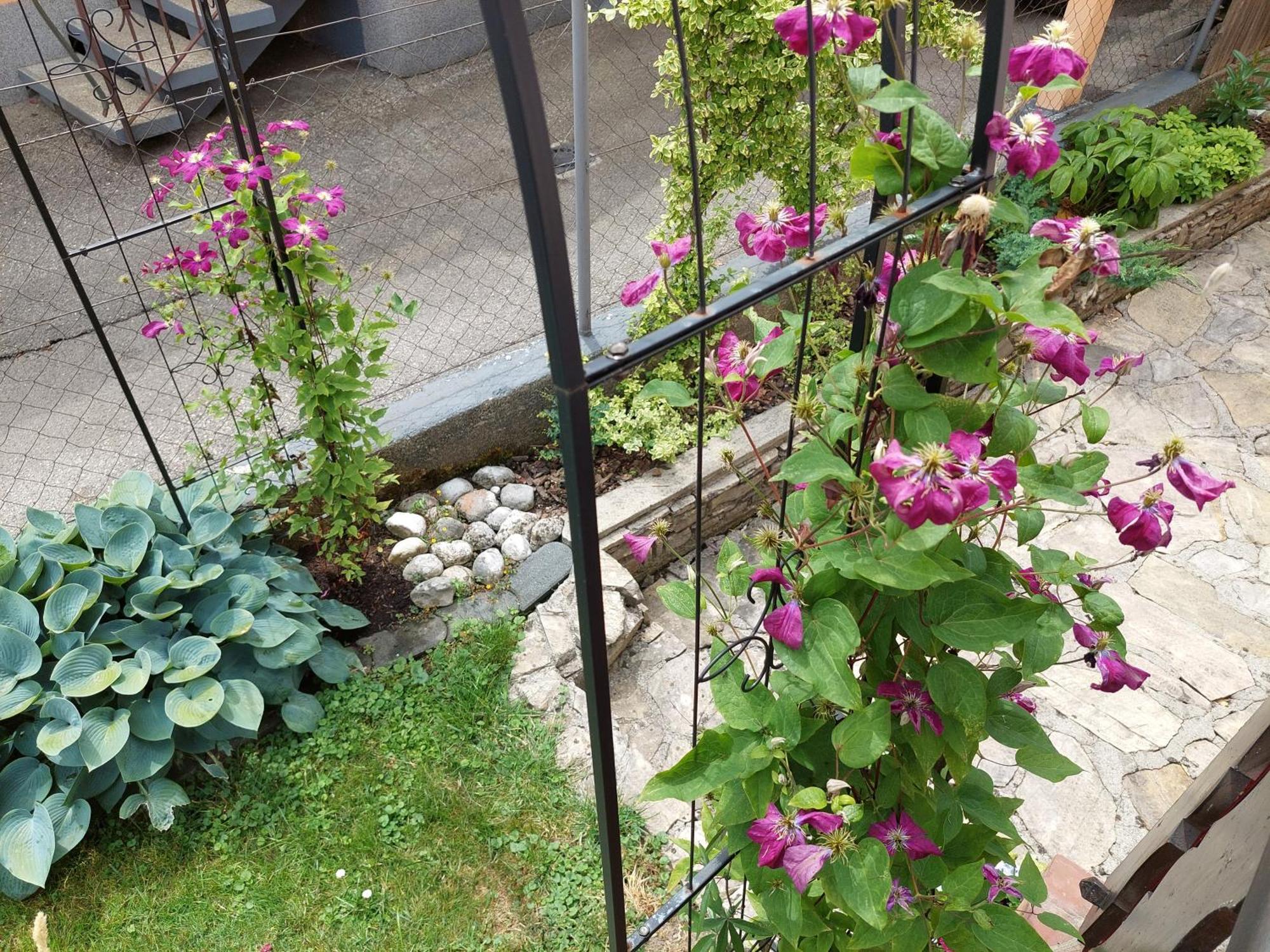 Wohnung mit Charme in Pinsdorf Exterior foto