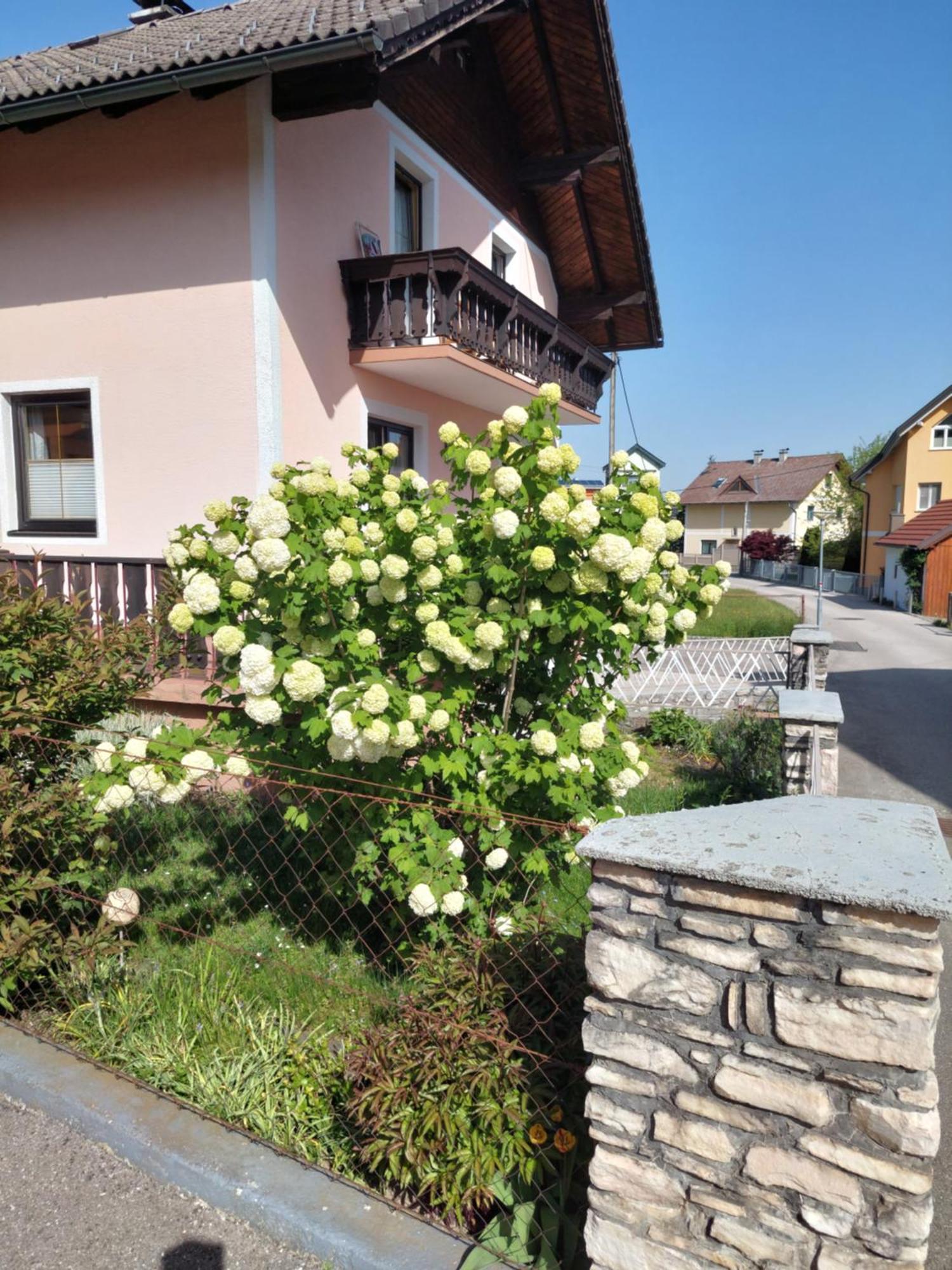 Wohnung mit Charme in Pinsdorf Exterior foto
